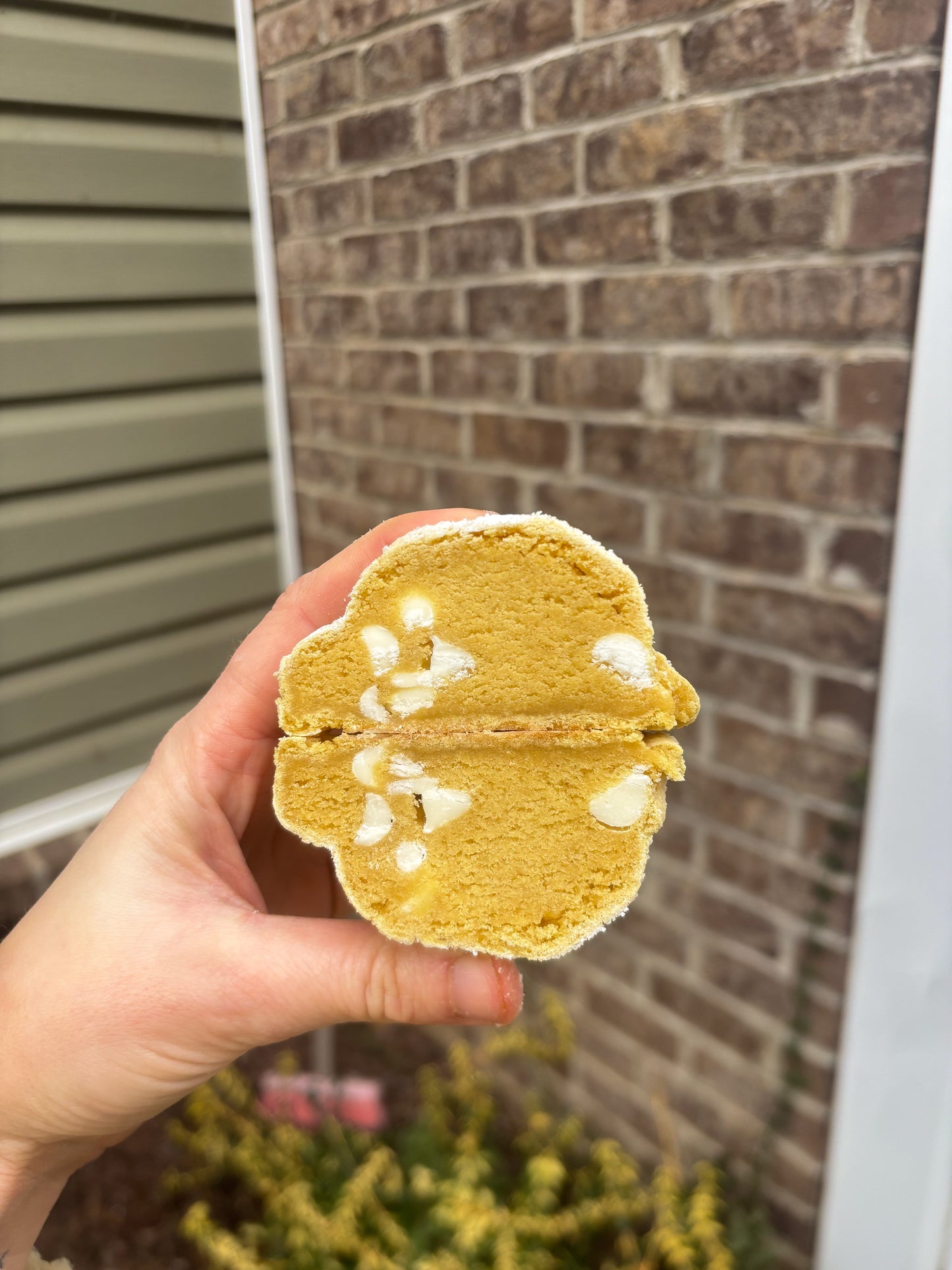 Lemon Crinkle Cookie Recipe