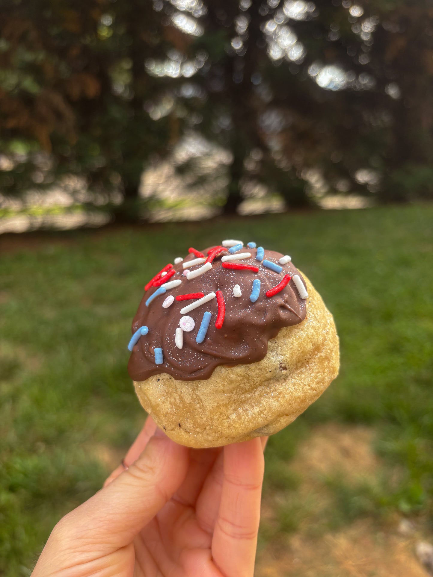 Tuxedo Cake Cookie Recipe (Free modification to the Vanilla Chai Cookie Recipe)