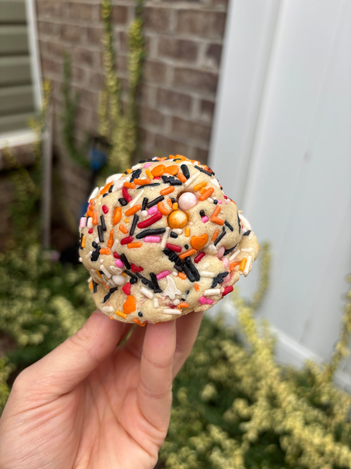 Halloween Sprinkle Sugar Cookie Recipe