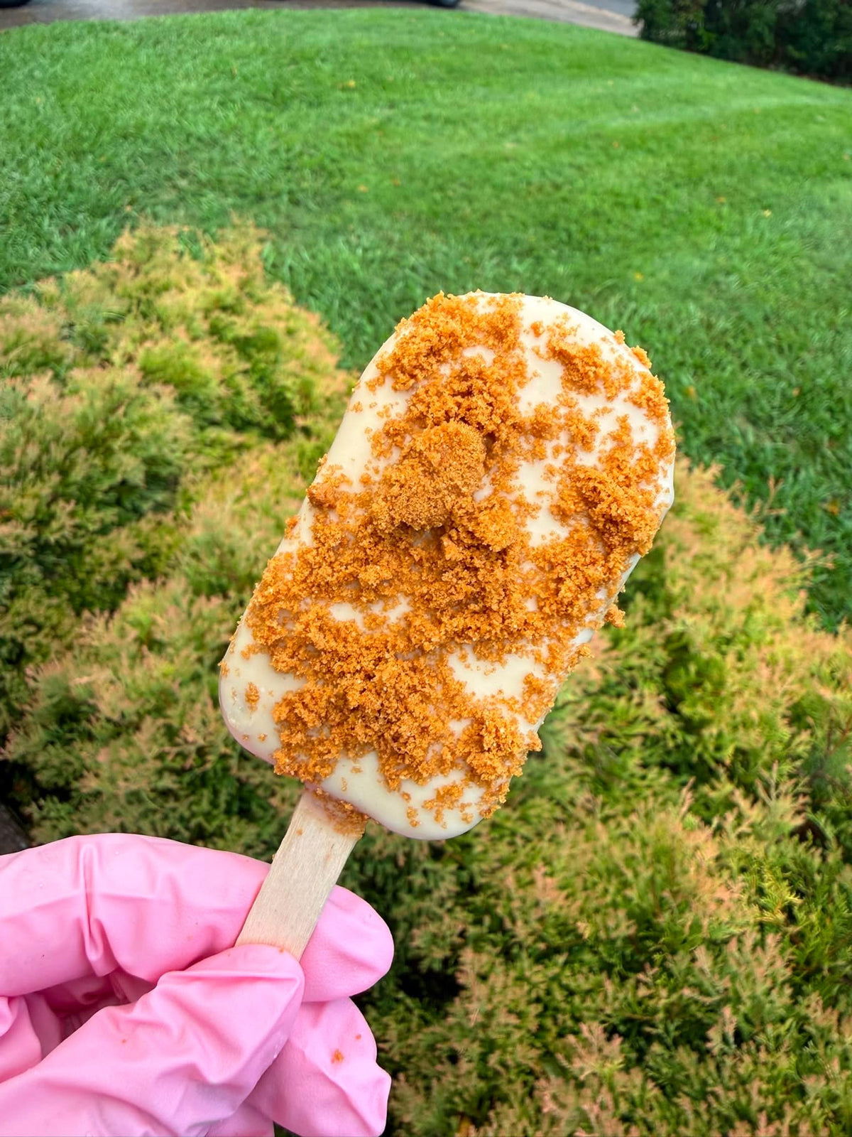 Cookie & Cake Pop COLLAB (Huddleston Baking Co. X Butter & Batter)