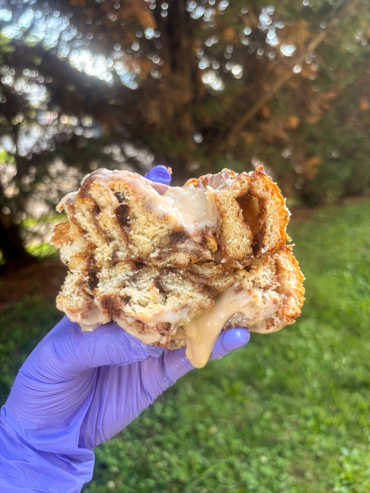 Cinnamon Roll Recipe