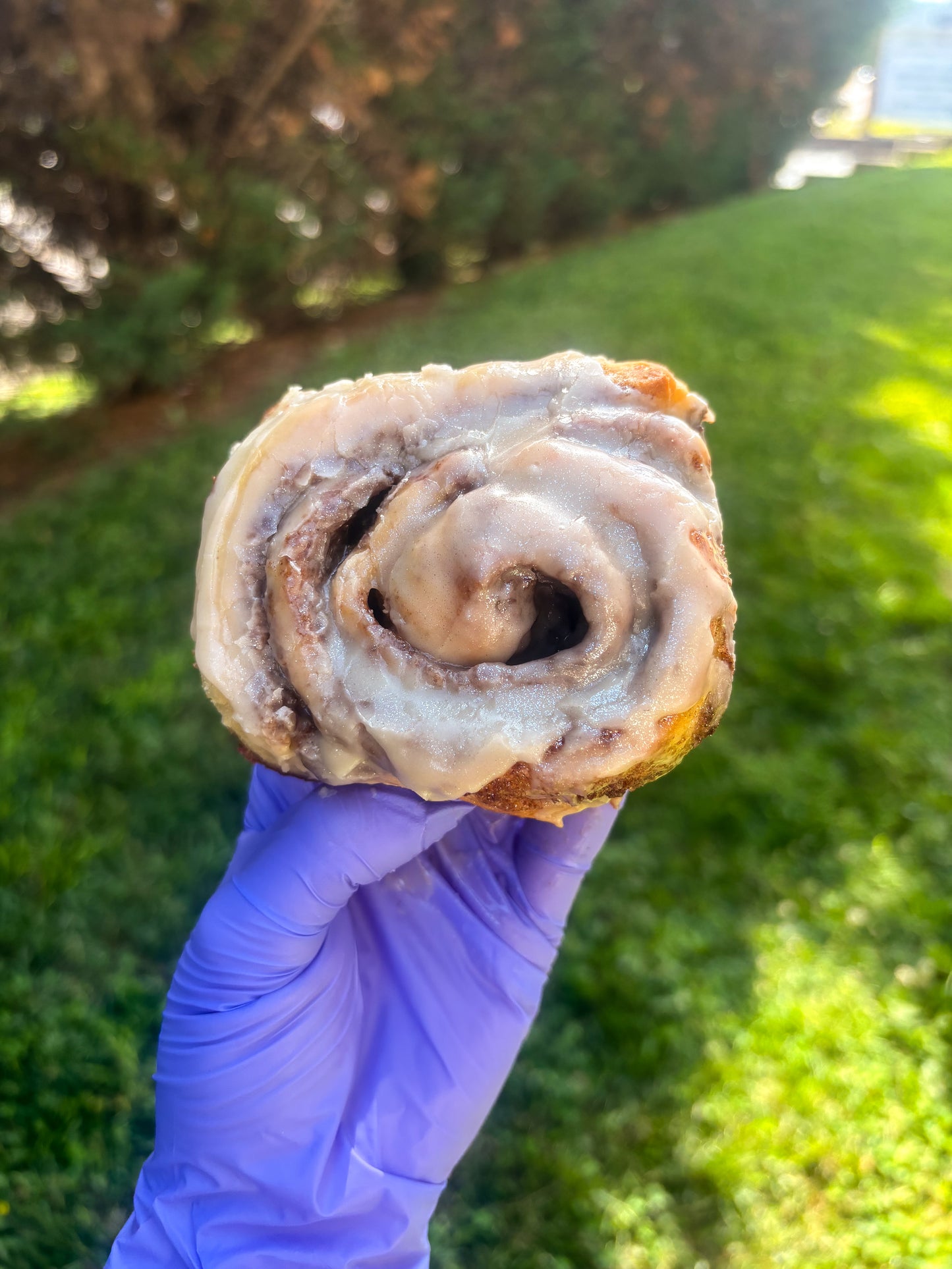 Cinnamon Roll Recipe