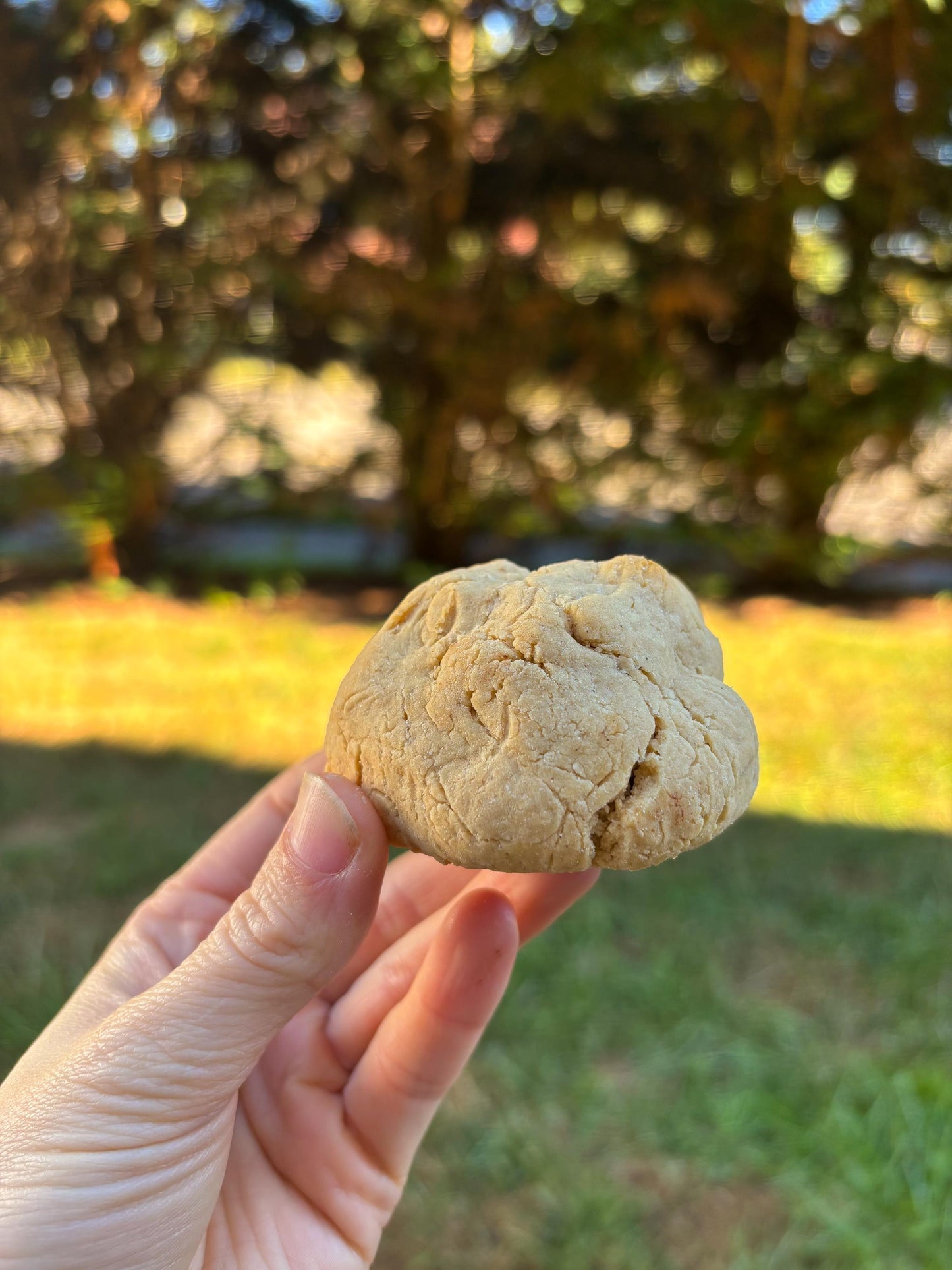 Gluten-Free Peanut Butter Protein Cookie Recipe: New York Style (Digital Download)