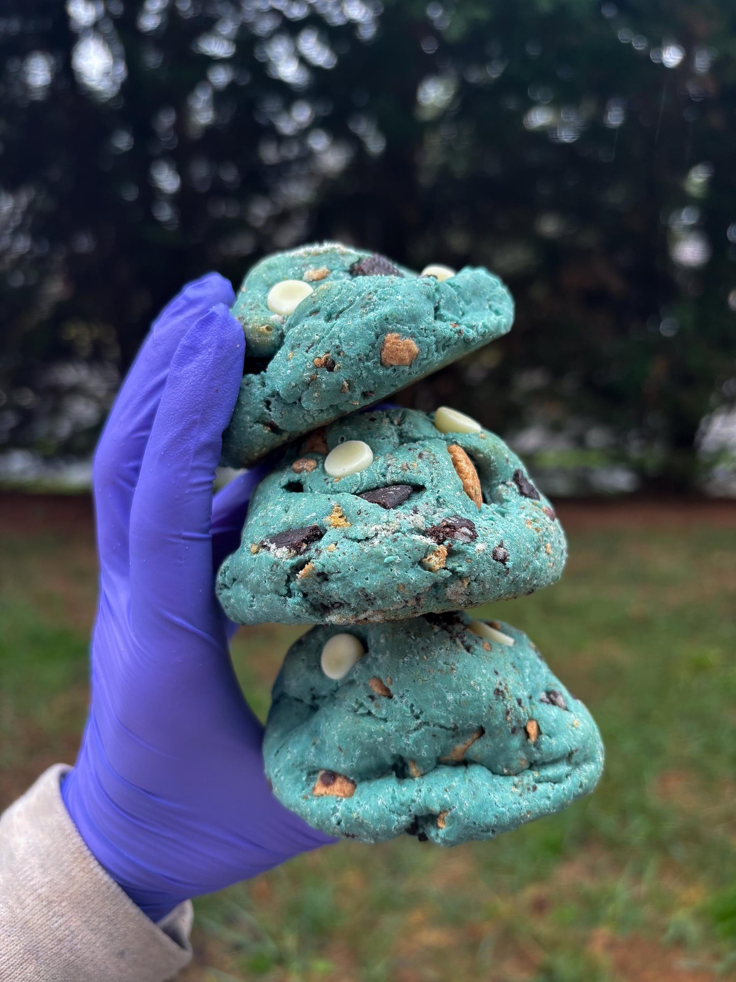 Cookie Monster Protein Cookie Recipe: Gourmet New York Style (Digital Download)