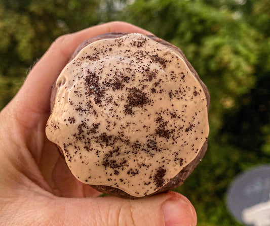 Stuffed Mocha Espresso Cookie Recipe: Gourmet New York Style (Digital Download)