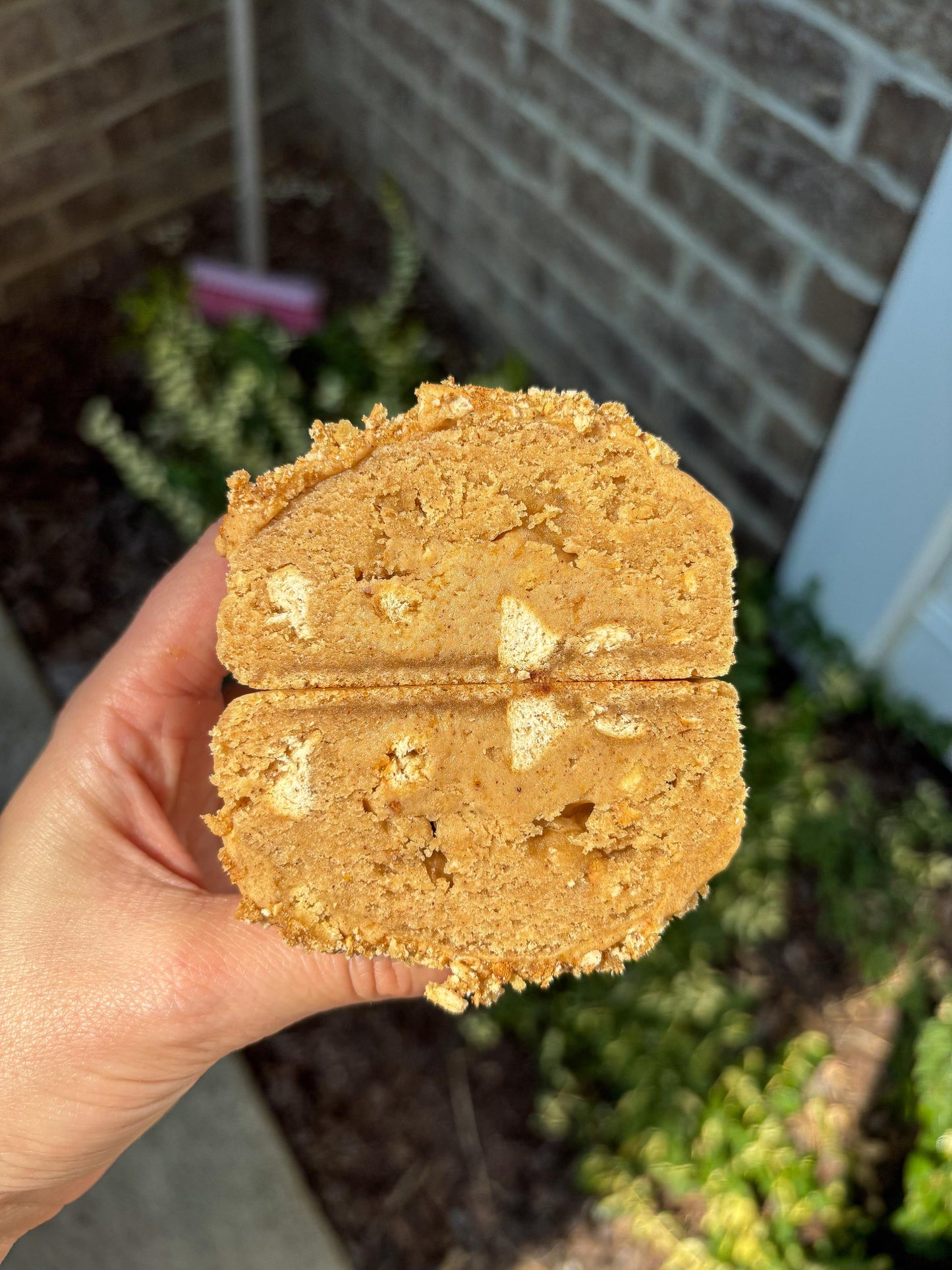 Stuffed Cinnamon Apple Butter Cookie Recipe: New York Style (Digital Download)