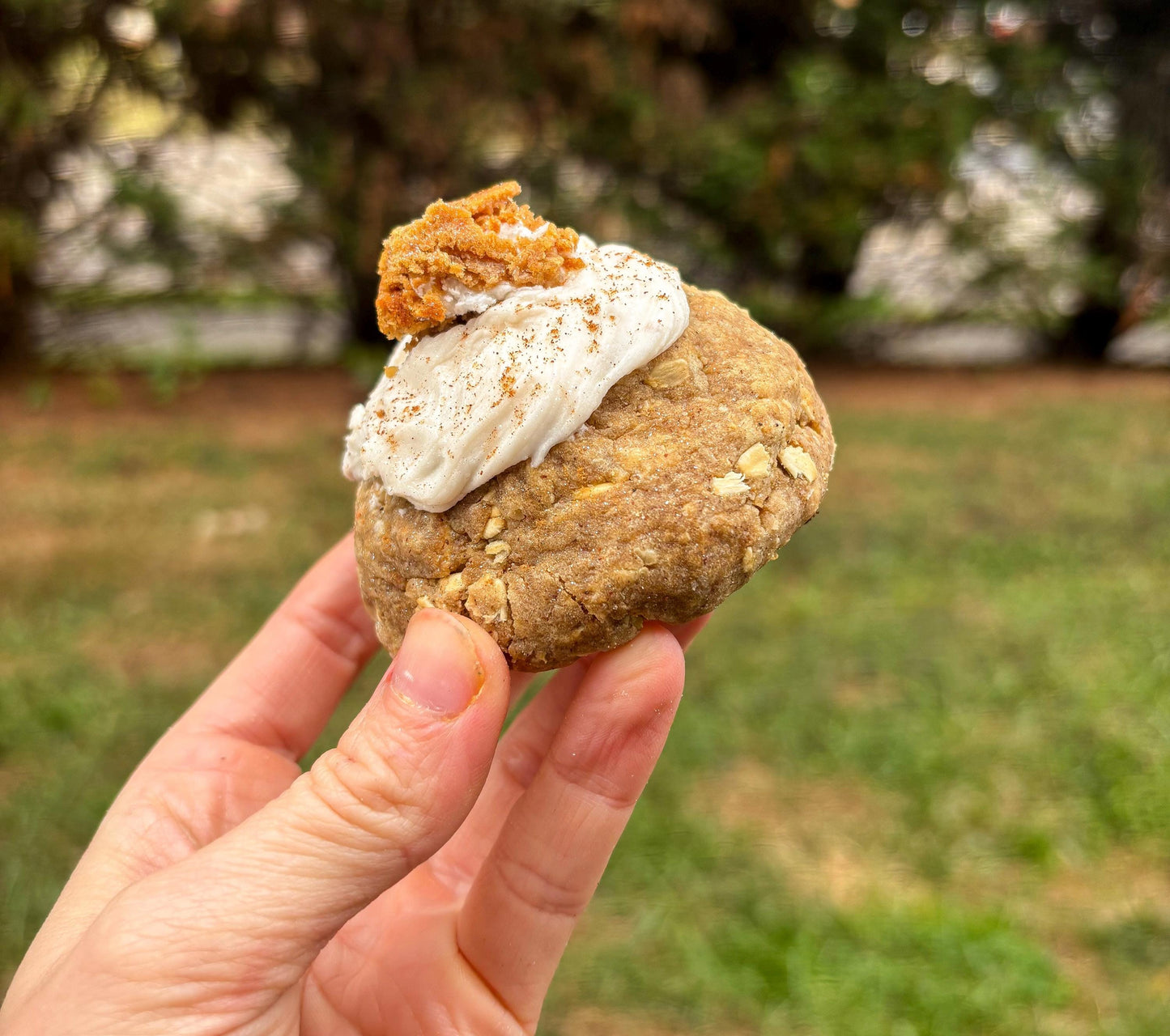 Oatmeal Crème Stuffed Cookie RECIPE: Gourmet New York Style (Digital Download)