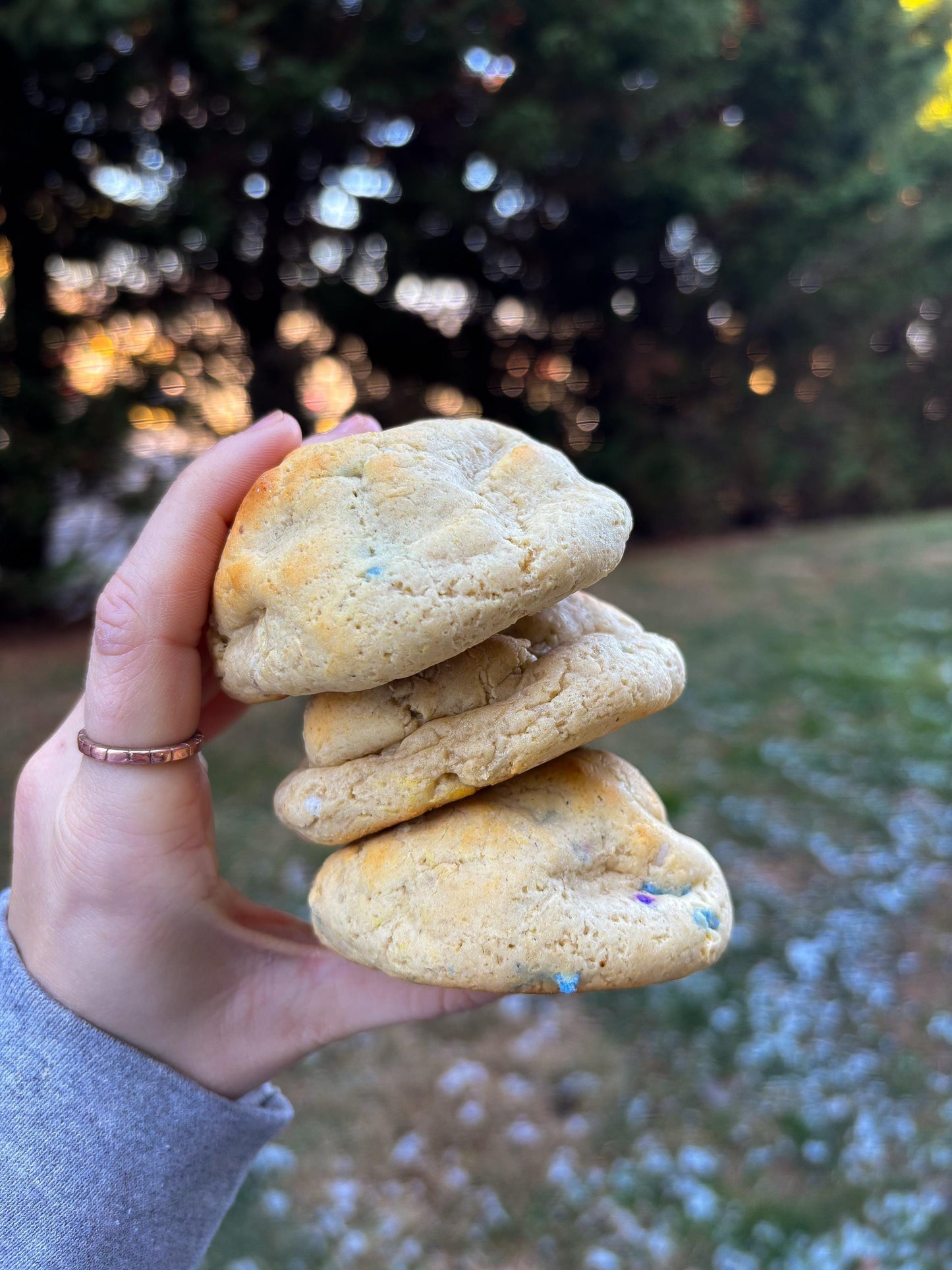 Gourmet Birthday Cake Protein Cookie Recipe (Digital Download)