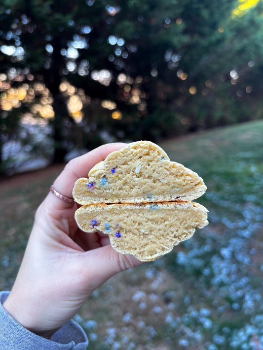 Gourmet Birthday Cake Protein Cookie Recipe (Digital Download)