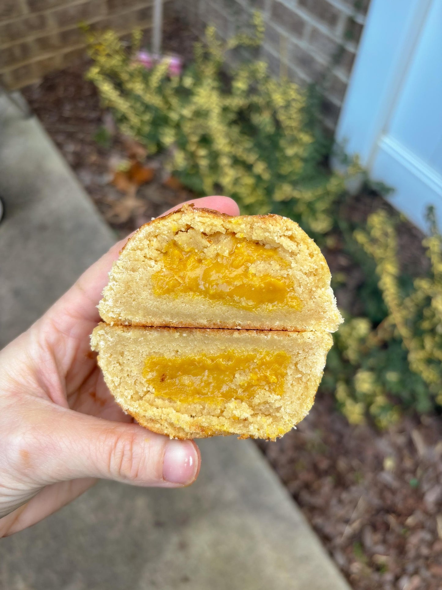 Crème Brûlée Stuffed Cookie RECIPE: Gourmet New York Style (Digital Download)