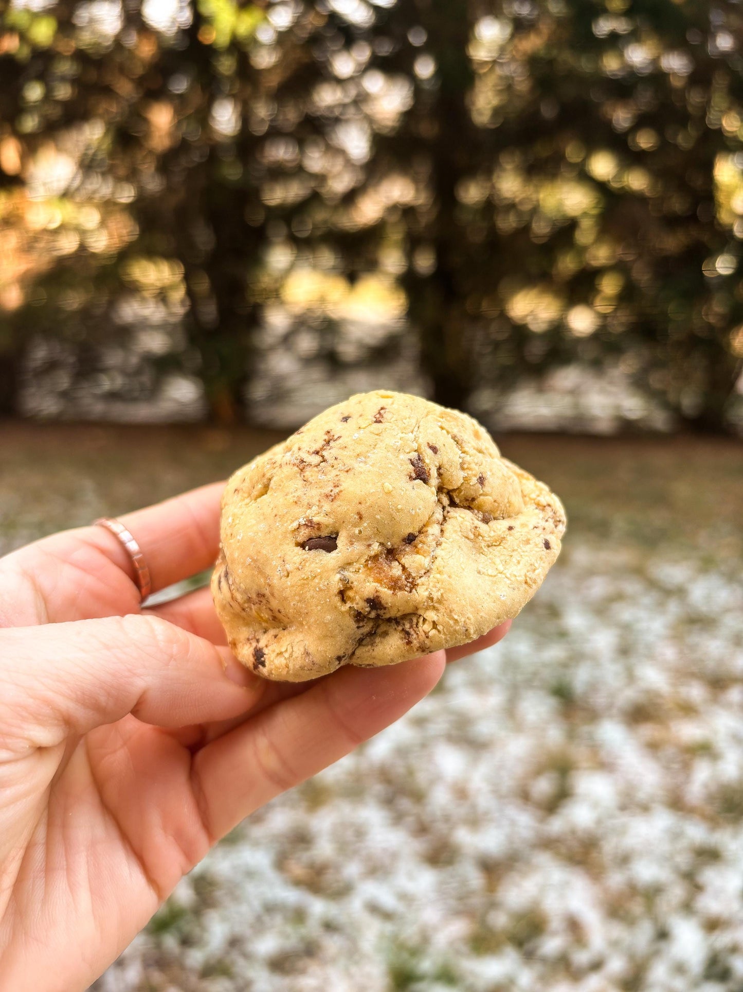 Gourmet Peanut Butter Chocolate Protein Cookie Recipe (Digital Download)