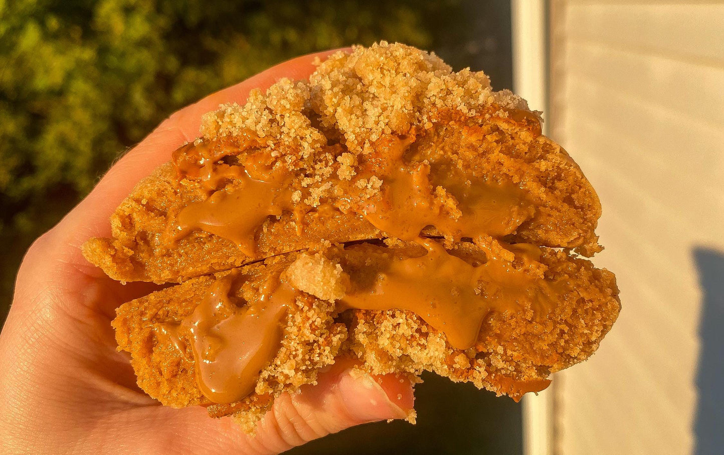 Stuffed Pumpkin Cookie Butter Recipe: Gourmet New York Style (Digital Download)